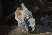 Natural Large Bladed Barite Specimen  x 1 From Congo