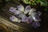 Natural Jacaranda Amethyst Crystals x 12 From Mumbwa, Zambia