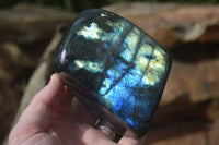 Polished Flashy Labradorite Standing Free Forms  x 3 From Tulear, Madagascar - TopRock