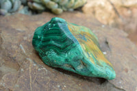 Polished Malachite Free Forms With Stunning Flower & Banding Patterns x 6 From Congo - TopRock