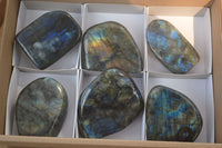 Polished Labradorite Standing Free Forms  x 6 From Tulear, Madagascar