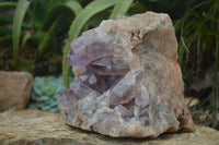 Natural Jacaranda Amethyst Cluster x 1 From Mumbwa, Zambia - TopRock