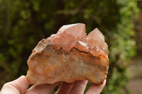 Natural Red Hematoid Phantom Quartz Specimens  x 6 From Karoi, Zimbabwe - TopRock