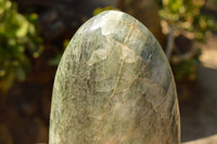 Polished Banded Green Fuchsite Quartz Standing Free Form x 1 From Madagascar - TopRock