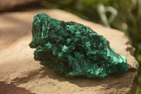 Natural Chatoyant Silky Malachite Specimens  x 5 From Kasompe, Congo - TopRock