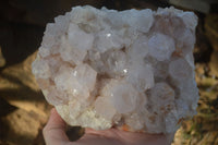 Natural White Spirit Cactus Quartz Clusters  x 2 From Boekenhouthoek, South Africa - Toprock Gemstones and Minerals 