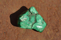 Polished Malachite Free Forms With Stunning Flower & Banding Patterns x 6 From Congo - TopRock