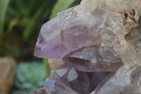 Natural Jacaranda Amethyst Cluster x 1 From Mumbwa, Zambia - TopRock