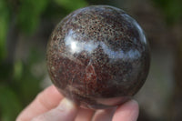 Polished Red Pyrope Garnet Spheres  x 2 From Madagascar - Toprock Gemstones and Minerals 