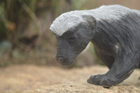 Polished African Honey Badger Carving  x 1 From Zimbabwe - TopRock