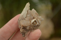 Natural Drusy Quartz Coated Pseudomorph Crystals  x 70 From Alberts Mountain, Lesotho - TopRock