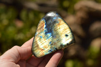 Polished Gorgeous Labradorite Standing Free Forms With Intense Full Face Flash x 6 From Tulear, Madagascar - TopRock