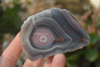 Polished River Agate Nodules  x 6 From Sashe River, Zimbabwe