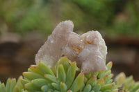 Natural Small Spirit Quartz Crystals & Clusters  x 35 From Boekenhouthoek, South Africa - TopRock