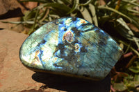 Polished Labradorite Standing Free Forms With Intense Blue Flash x 2 From Sakoany, Madagascar - TopRock