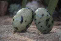 Polished Spotted Leopard Stone Free Forms  x 6 From Nyanga & Shamva, Zimbabwe - Toprock Gemstones and Minerals 