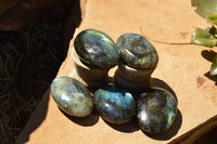 Polished Flashy Labradorite Palm Stones  x 20 From Tulear, Madagascar - TopRock