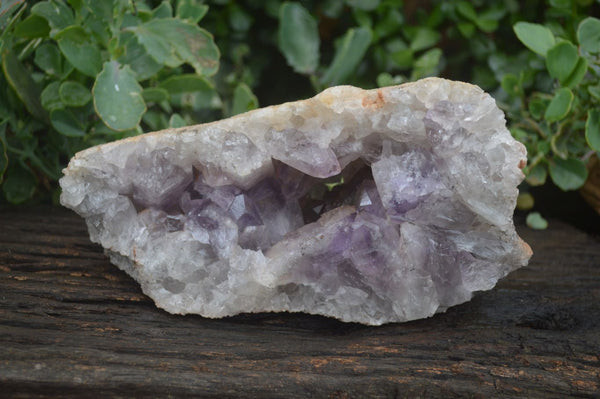 Natural Jacaranda Amethyst Cluster x 1 From Mumbwa, Zambia - TopRock