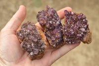 Natural Dark "Amethystos" Amethyst Clusters  x 12 From Kwaggafontein, South Africa - TopRock