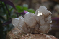 Natural Cascading Smokey Quartz Clusters x 6 From Luena, Congo