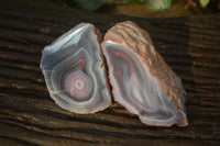 Polished River Agate Nodules  x 6 From Sashe River, Zimbabwe