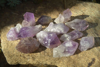 Natural Single Jacaranda Amethyst Crystals x 12 From Mumbwe, Zambia