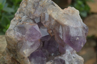 Natural Jacaranda Amethyst Cluster x 1 From Mumbwa, Zambia - TopRock