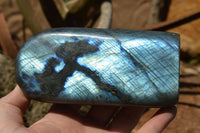 Polished Labradorite Standing Free Forms With Intense Blue Flash x 2 From Sakoany, Madagascar - TopRock