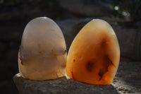 Polished Mixed Agate Standing Free Forms  x 4 From Madagascar