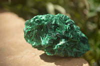 Natural Chatoyant Silky Malachite Specimens  x 5 From Kasompe, Congo - TopRock