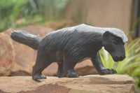 Polished African Honey Badger Carving  x 1 From Zimbabwe - TopRock