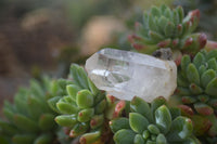 Natural Mixed Amethyst & Smokey Brandberg Quartz Crystals x 12 From Brandberg, Namibia