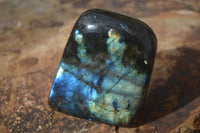 Polished Flashy Labradorite Standing Free Forms  x 3 From Tulear, Madagascar - TopRock