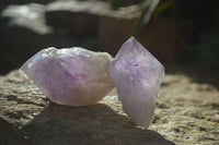 Natural Jacaranda Amethyst Crystals x 12 From Mumbwa, Zambia