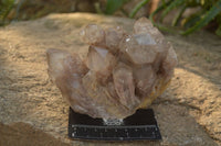 Natural Cascading Smokey Quartz Clusters x 2 From Luena, Congo