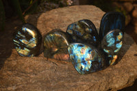 Polished Labradorite Standing Free Forms  x 6 From Tulear, Madagascar