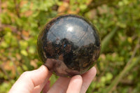 Polished Rare Blue Iolite / Water Sapphire Spheres  x 4 From Madagascar - TopRock