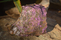 Natural Metallic Purpurite Cobbed Specimens  x 2 From Erongo, Namibia - Toprock Gemstones and Minerals 