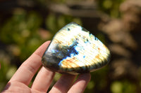 Polished Gorgeous Labradorite Standing Free Forms With Intense Full Face Flash x 6 From Tulear, Madagascar - TopRock