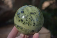 Polished Spotted Leopard Stone Free Forms  x 6 From Nyanga & Shamva, Zimbabwe - Toprock Gemstones and Minerals 