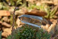 Polished Stunning Optic Smokey Quartz Points  x 6 From Madagascar - TopRock