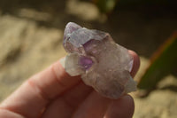 Natural Window Amethyst Crystals  x 12 From Chiredzi, Zimbabwe