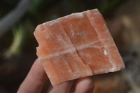 Natural New Sunset Orange Calcite Specimens  x 12 From Spitzkop, Namibia