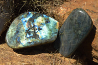 Polished Labradorite Standing Free Forms With Intense Blue Flash x 2 From Sakoany, Madagascar - TopRock