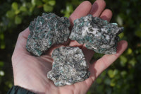 Natural Rare Emerald Mica In Matrix Cobbed Specimens x 12 From Mutoko, Zimbabwe