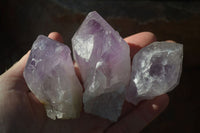 Natural Single Jacaranda Amethyst Crystals x 12 From Mumbwe, Zambia