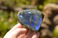 Polished Gorgeous Labradorite Standing Free Forms With Intense Full Face Flash x 6 From Tulear, Madagascar - TopRock