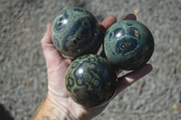 Polished Stromatolite / Kambamba Jasper Spheres  x 4 From Madagascar - Toprock Gemstones and Minerals 