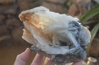 Natural Large Bladed Barite Specimen  x 1 From Congo