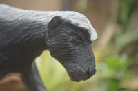 Polished African Honey Badger Carving  x 1 From Zimbabwe - TopRock